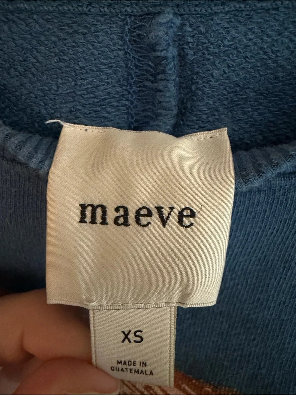 Maeve Blue Dog Graphic Sweatshirt - golden retriever